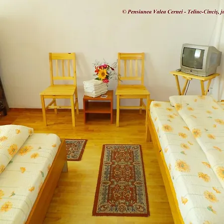 Casa de hóspedes Pensiunea Valea Cernei 2*