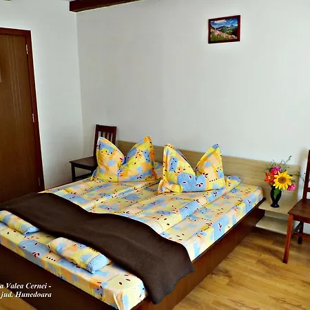 Casa de hóspedes Pensiunea Valea Cernei Teliucu Inferior