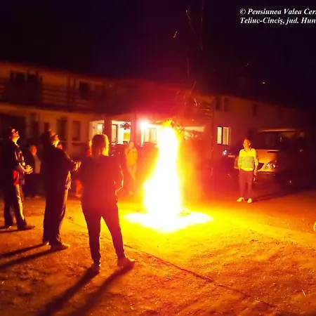 Casa de hóspedes Pensiunea Valea Cernei Teliucu Inferior