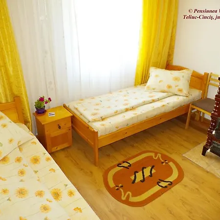Casa de hóspedes Pensiunea Valea Cernei Teliucu Inferior