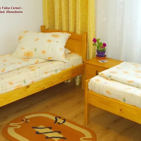 Casa de hóspedes Pensiunea Valea Cernei 2*