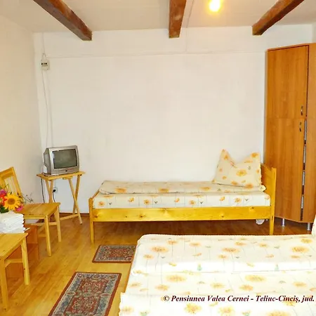 Casa de hóspedes Pensiunea Valea Cernei Teliucu Inferior