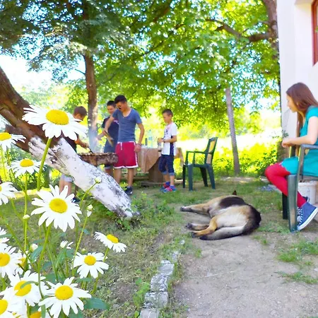 Pensiunea Valea Cernei Casa de hóspedes