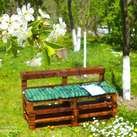 Casa de hóspedes Pensiunea Valea Cernei 2*