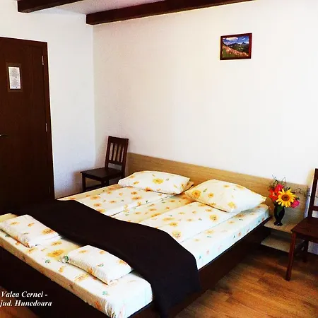 Pensiunea Valea Cernei Casa de hóspedes