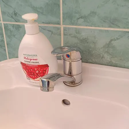 Pensiunea Valea Cernei Casa de hóspedes Teliucu Inferior