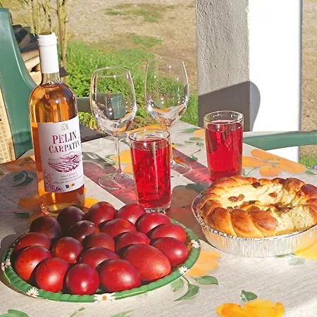 Pensiunea Valea Cernei 2* Teliucu Inferior