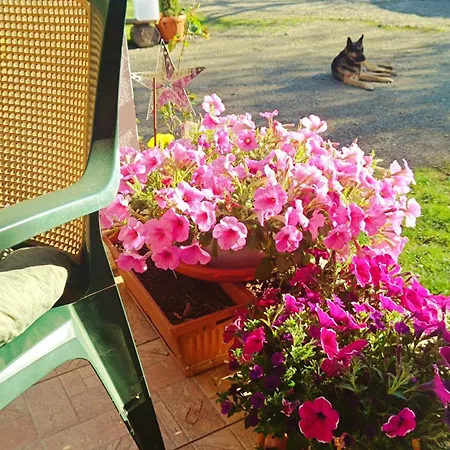 Pensiunea Valea Cernei Casa de hóspedes