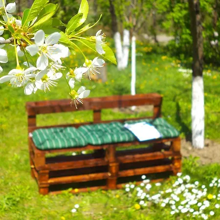 Casa de hóspedes Pensiunea Valea Cernei