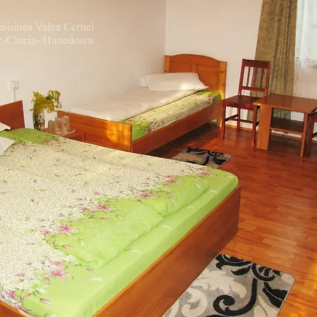 Pensiunea Valea Cernei 2*