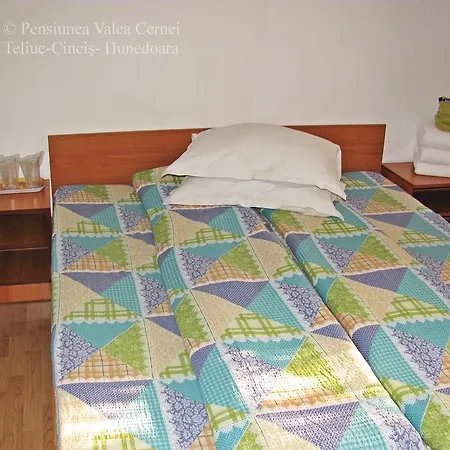 Pensiunea Valea Cernei 2* Teliucu Inferior